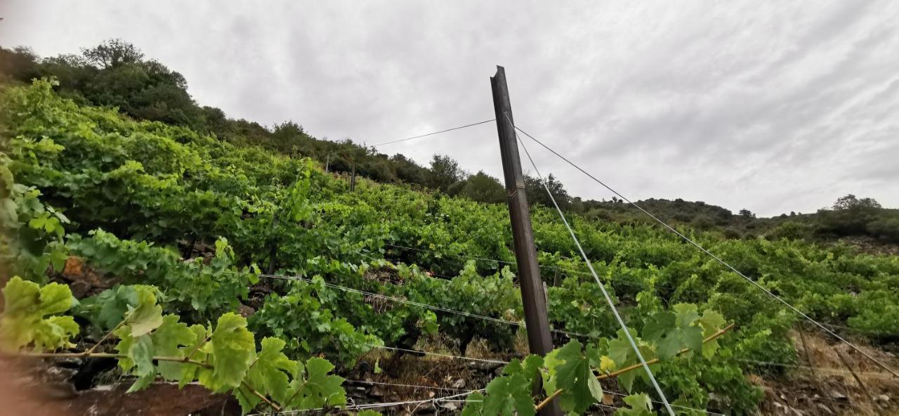 Vina Cazoga Villa Sober Buitenkant foto