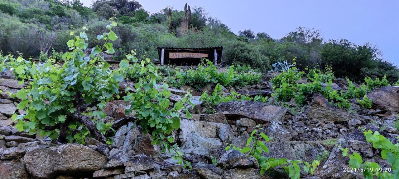 Vina Cazoga Villa Sober Buitenkant foto