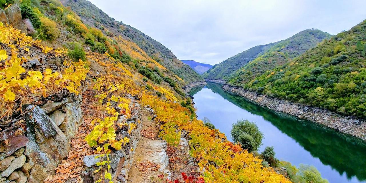 Vina Cazoga Villa Sober Buitenkant foto